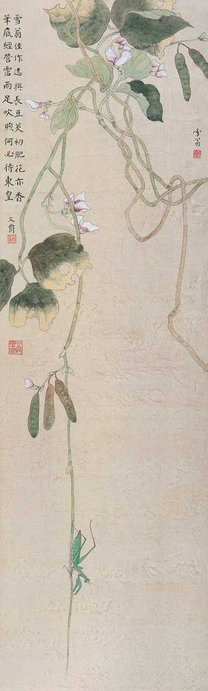 陈之佛 豆荚初肥花亦香 立轴